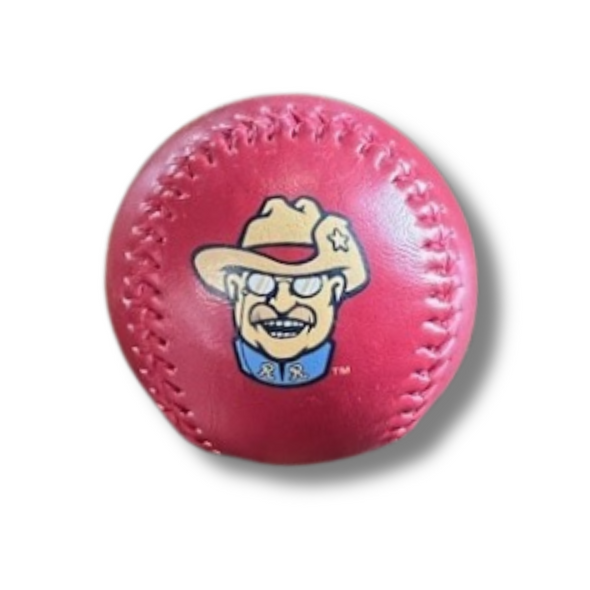 Red Teddy Baseball