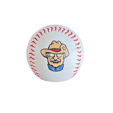 Teddy Baseball